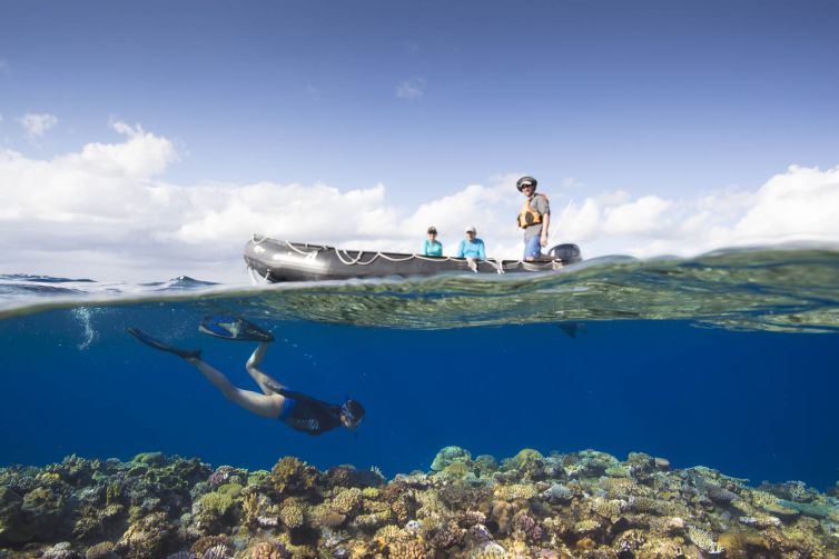 Ventures snorkel operation, underwater, Tadine, New Caledonia