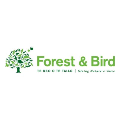 forest-and-bird