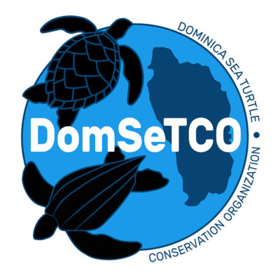 DomSeTCO Logo white small